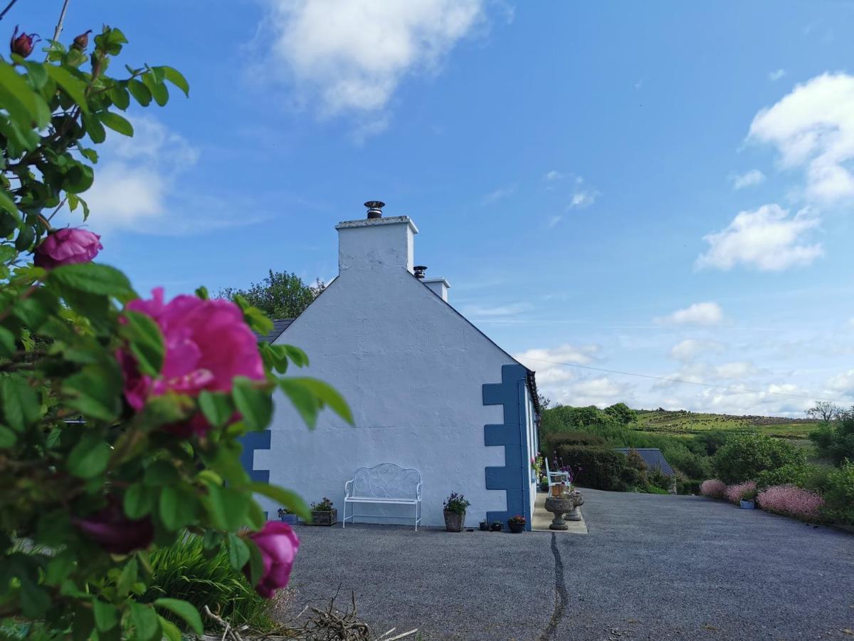 New Listing - Ladybird Cottage - Donegal - Wild Atlantic Way Donegal Town Exterior foto