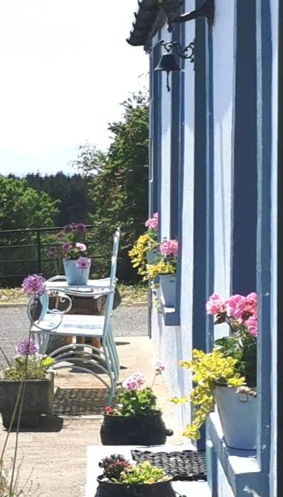 New Listing - Ladybird Cottage - Donegal - Wild Atlantic Way Donegal Town Exterior foto